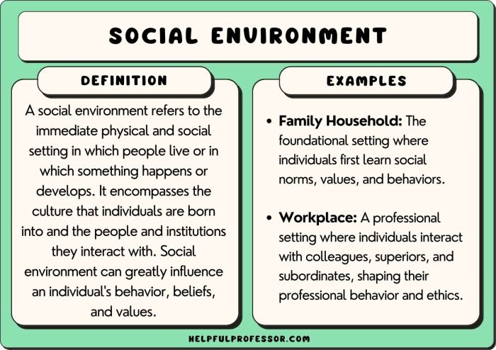 Sociology environmentalism