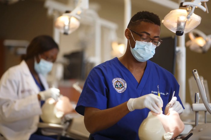 Dentistry school dental college medical schools meharry student mission tennessee nashville vision service state arrives accepted challenge they when our