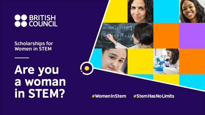 British council scholarships for women in stem university of stirling s2 1