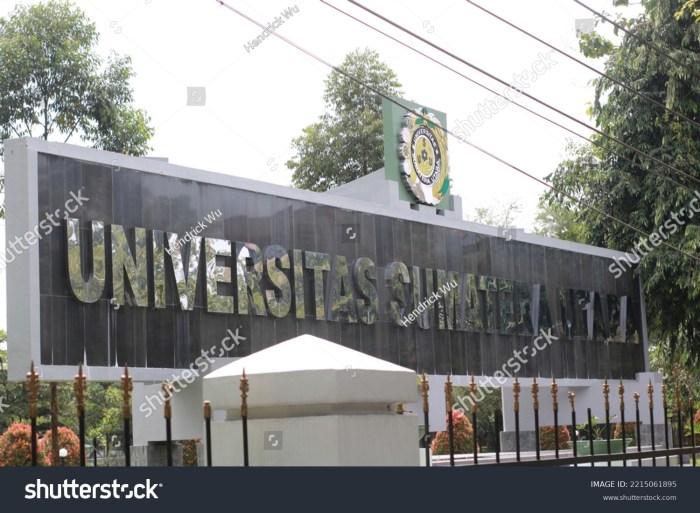 Universitas negeri di sumatera utara