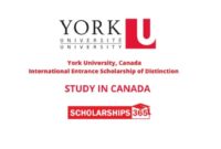 International entrance scholarship of distinction york university s1 1