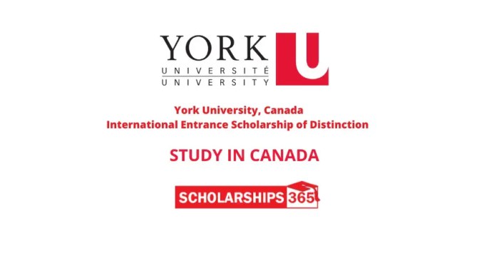 International entrance scholarship of distinction york university s1 1