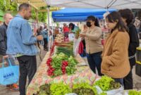 Pasar markt markets nizza umum tempat sayuran penjaja buah saleya azur survei luar warna marchés altstadt kunstgebit berdiri adil bunga