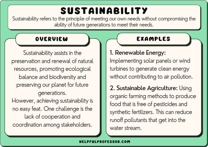 Sustainability definition environmental pdf sustainable spheres development world real our