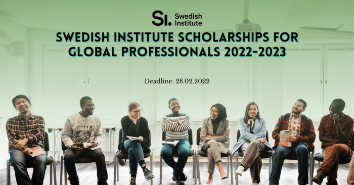 Swedish institute scholarship for global professionals s 2 s2 1