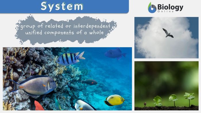 System systems approach ppt definition powerpoint presentation