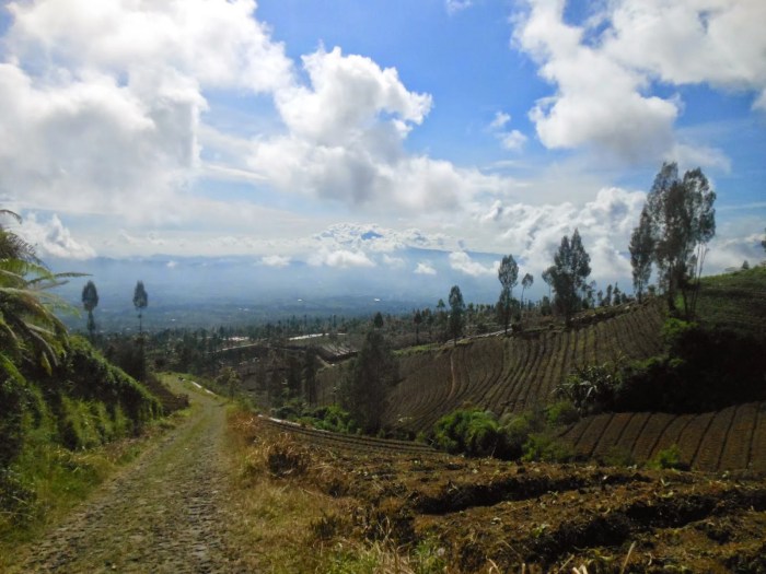 Sejarah temanggung