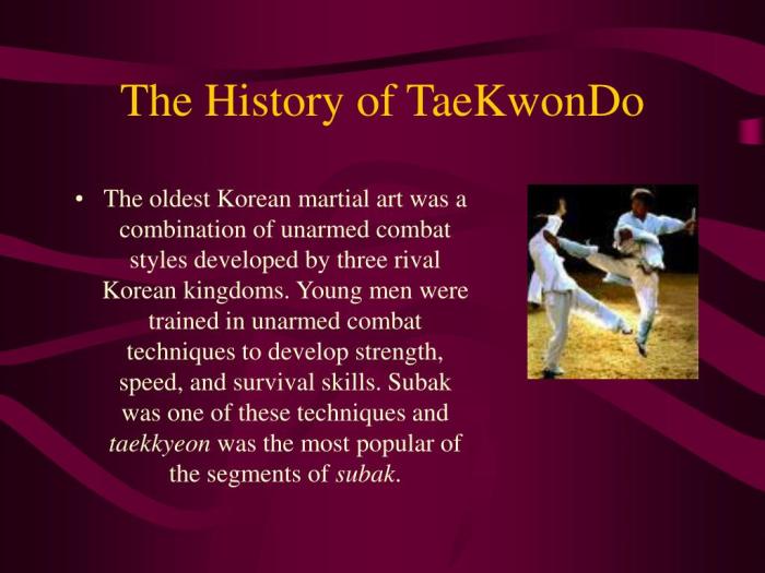 Sejarah taekwondo indonesia