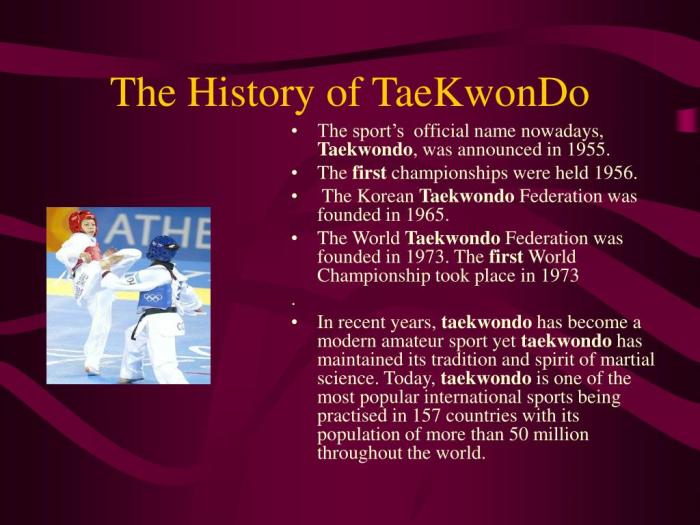 Sejarah taekwondo indonesia