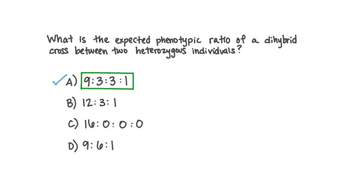 Genotype phenotype