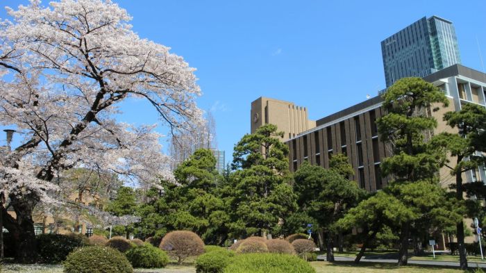 Universitas terbaik jepang