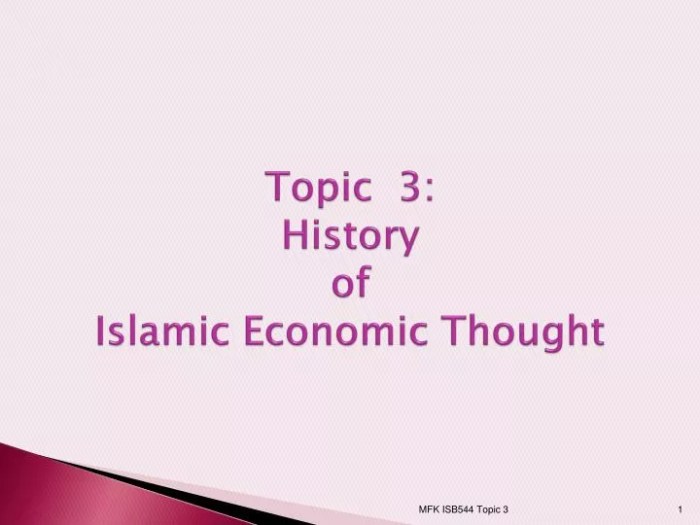 Economic thought muslim contributions islamic scholars analysis history pdf