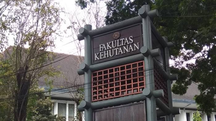 Jurusan di fakultas kehutanan ugm