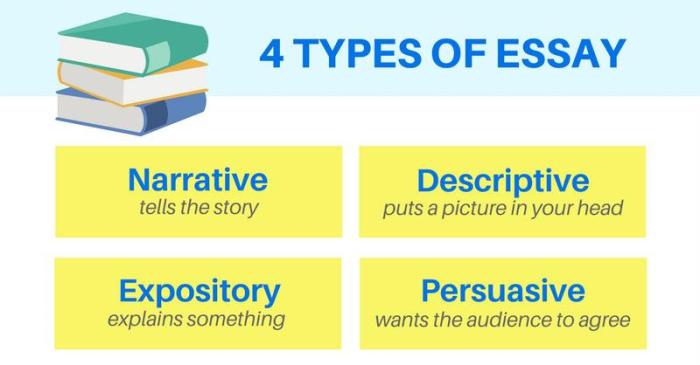 Cerita sejarah ekspositoris