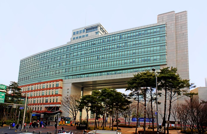 Hongik university english