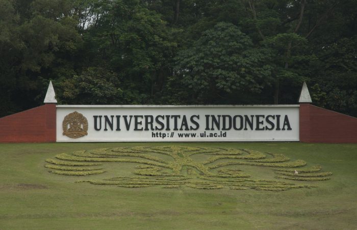 Universitas dekat ui