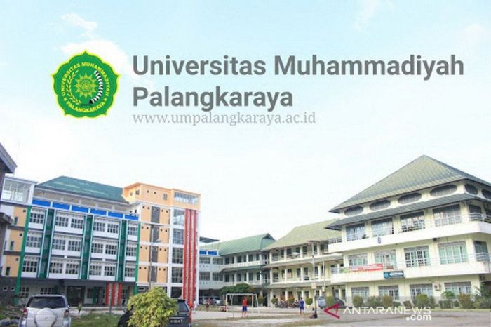 Jurusan universitas muhammadiyah palangkaraya