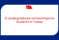 Turkiye burslari scholarship s1 1