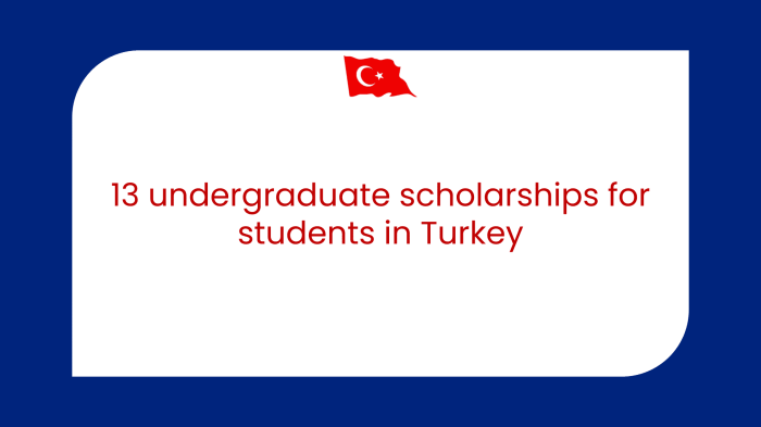 Turkiye burslari scholarship s1 1