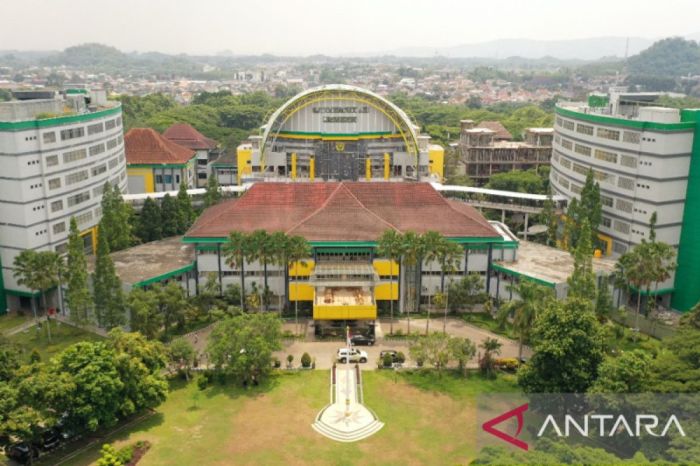 Universitas yang ada di jember