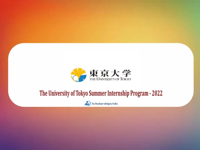 The university of tokyo summer internship program in kashiwa nondegree 1