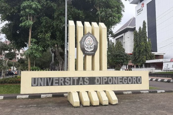 Fakultas yang ada di undip