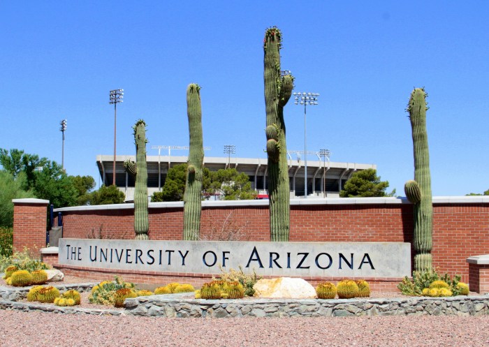 Universitas arizona