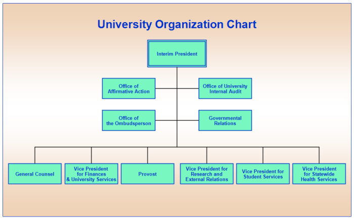 Struktur organisasi universitas