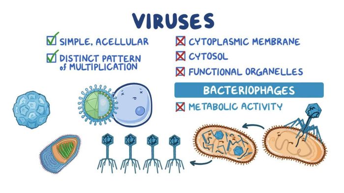 Bahasa inggris virus