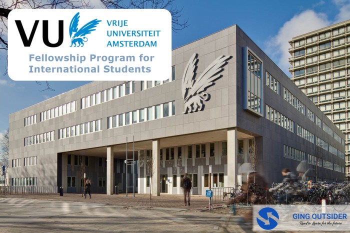 Vu amsterdam fellowship program s2 1