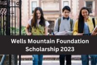 Beasiswa d3 dan s1 dari wells mountain foundation