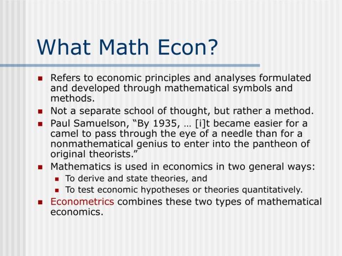 Mathematics economists hardcover blume