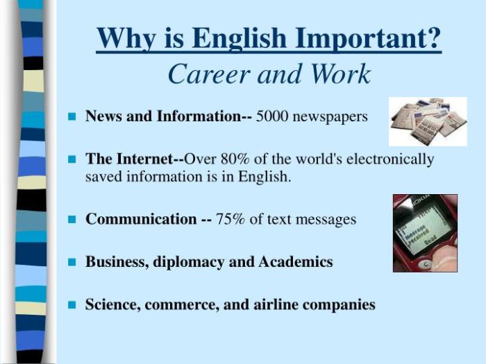 English important language infographic why dil ingilizce mecidiyeköy