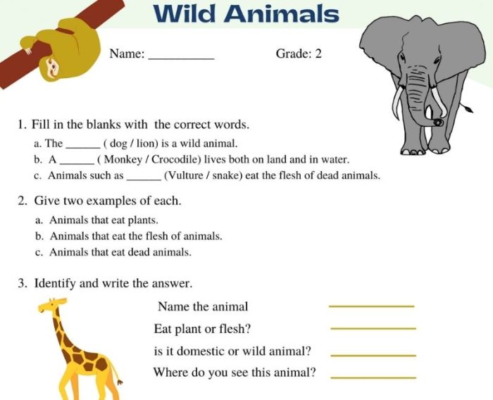 Soal bahasa inggris tentang hewan kelas 2