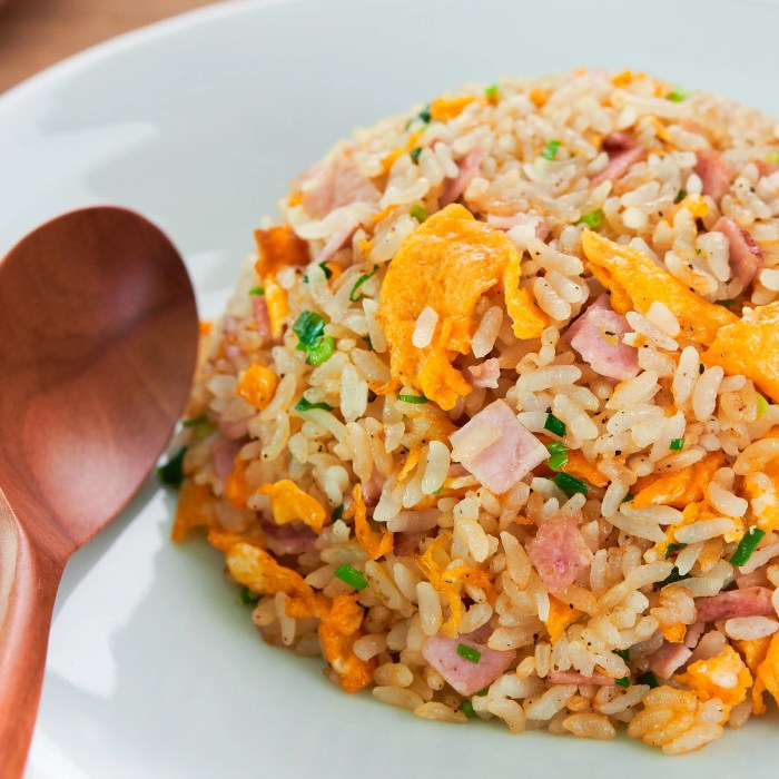 Sejarah nasi goreng jawa