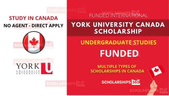 Beasiswa s1 di york university kanada 2