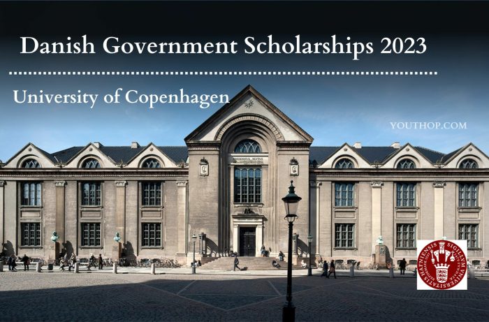 Danish government scholarship s2 2