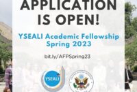 Yseali fellowship