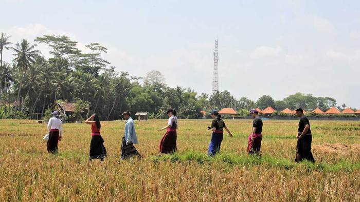 Contoh contoh pidarta bahasa bali dengan tema lingkungan alam