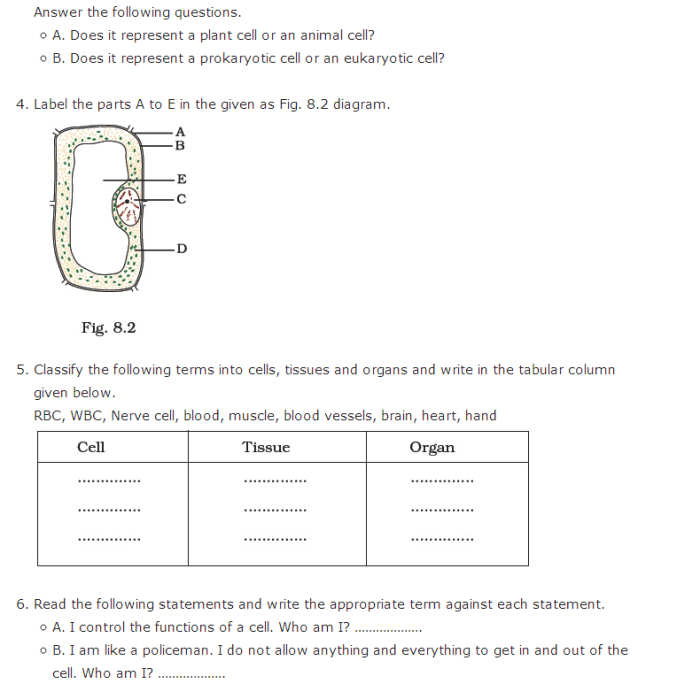 Contoh soal ipa kelas 6