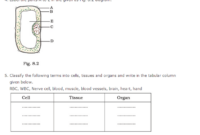 Contoh soal soal ipa kelas 6 sd