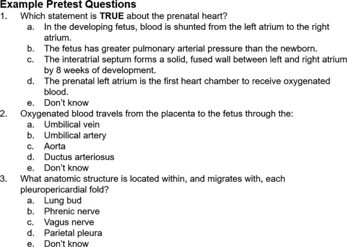 Contoh soal pretest