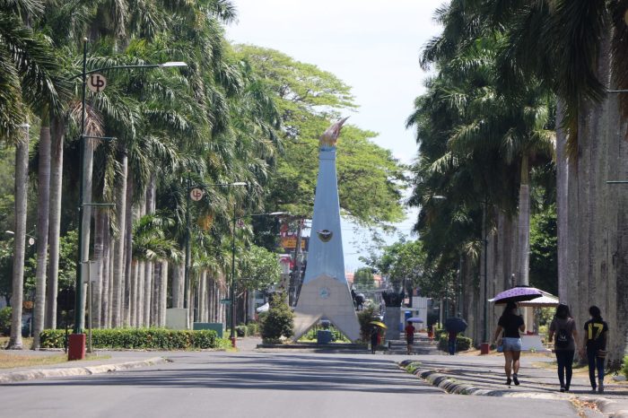 Forestry universities