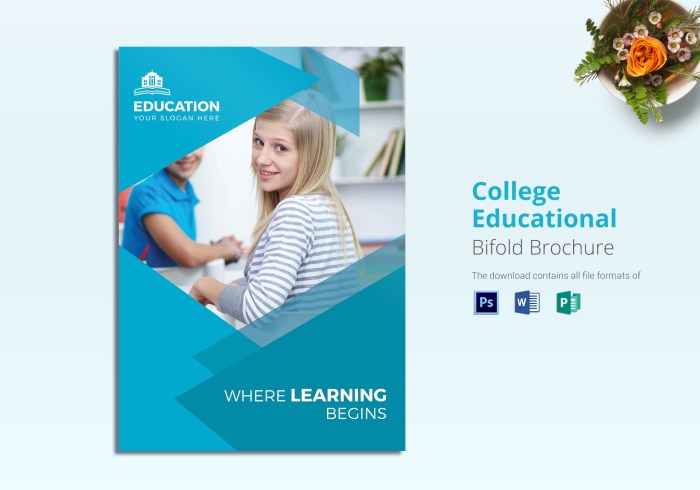 Brochures school educational brochure tips better example enrollment audience know