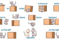 Contoh soal preposition of place dengan gambar