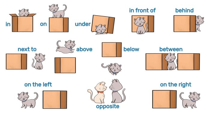 Contoh soal preposition of place dengan gambar