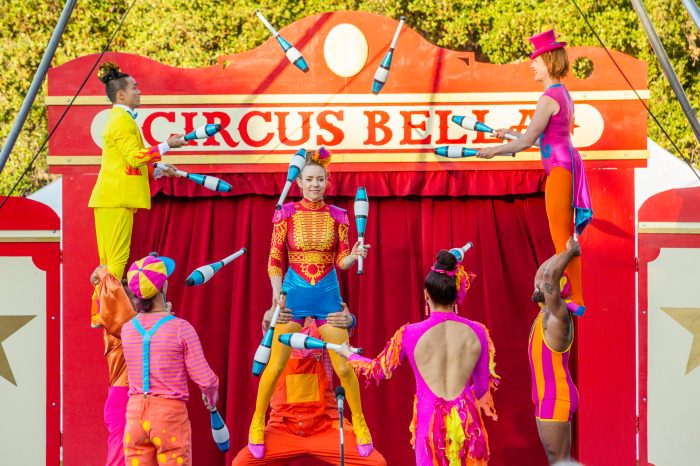 Magic circus show