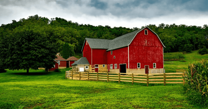 Farm party birthday barnyard ideas animal theme themed baby barn shower boy table karaspartyideas animals decorations kids parties themes yard