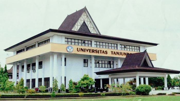 Universitas yang ada di kalimantan