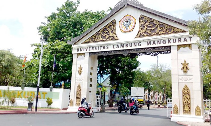 Universitas yang ada di kalimantan